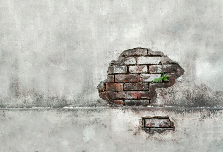 Cognitive Behavioral Therapy vs. Dialectical Behavior Therapy