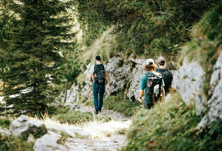 Active IOP's Movement-First Approach