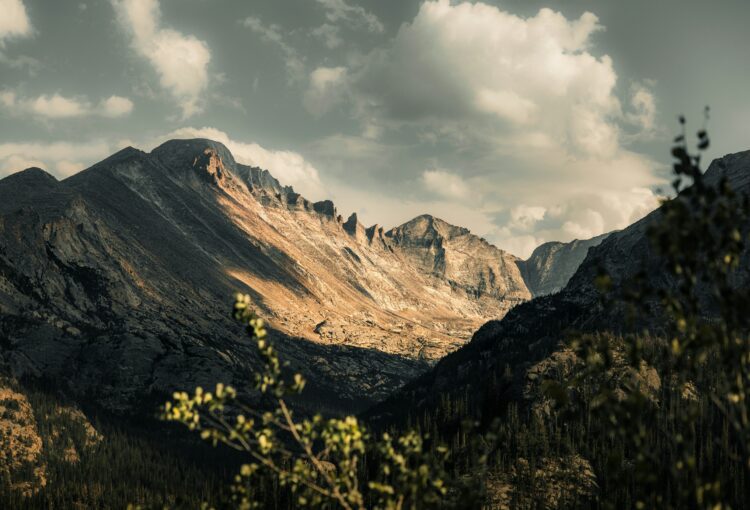 Buprenorphine Treatment in Denver