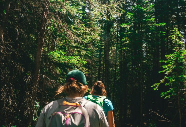 Sober Hiking Trails Near Denver