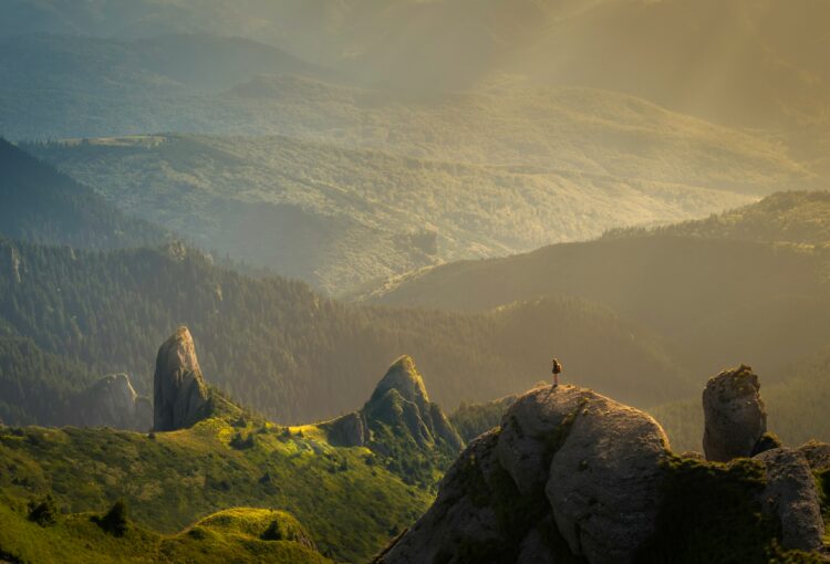 Why You Can't Think Your Way Out of Trauma